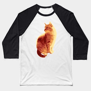 Orange Cat Baseball T-Shirt